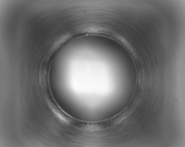 X0000082680445200702021231