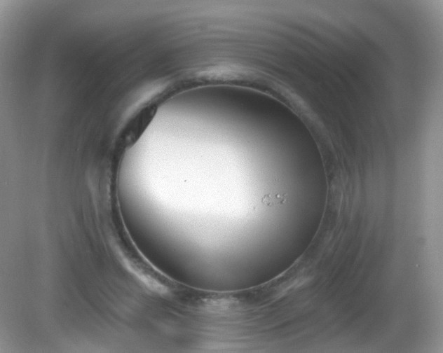 X0000082680446200702021231