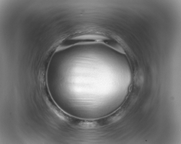 X0000082680449200702021231
