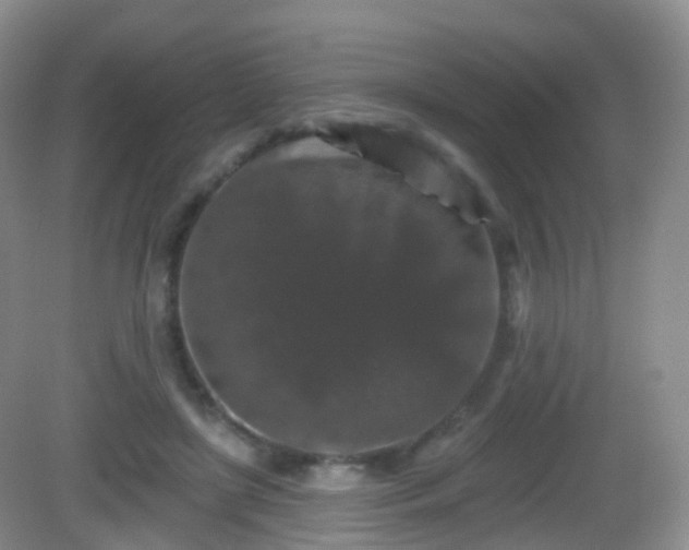 X0000082680451200702021231