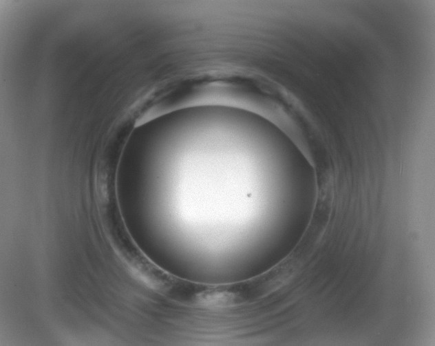 X0000082680452200702021231