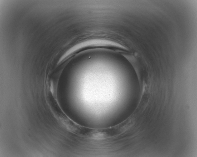 X0000082680456200702021231