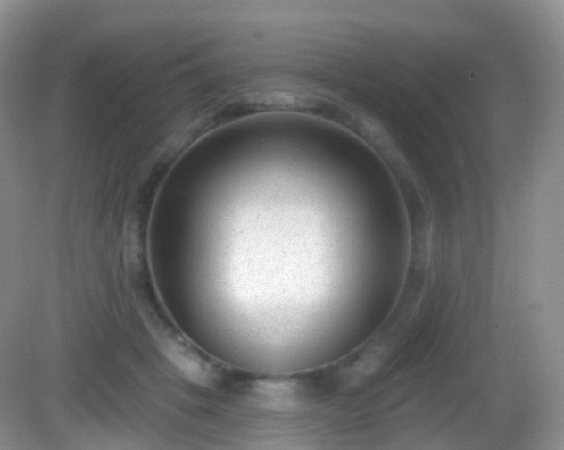 X0000082680457200702021231