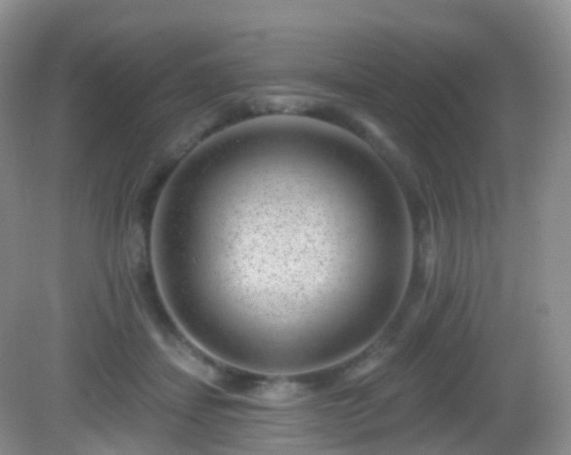 X0000082680459200702021231