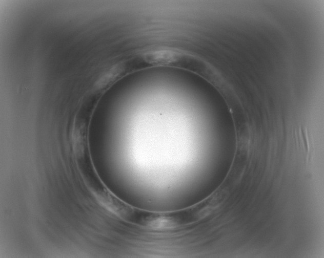 X0000082680460200702021231