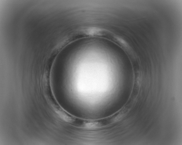 X0000082680461200702021231