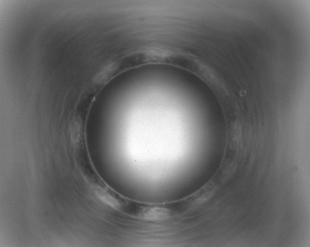 X0000082680463200702021231