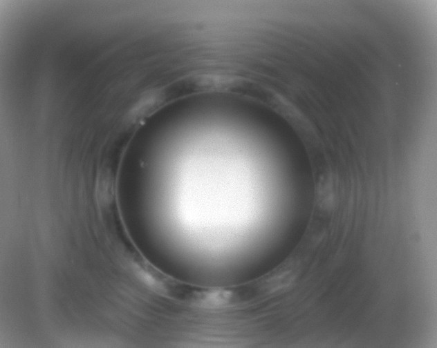 X0000082680474200702021231