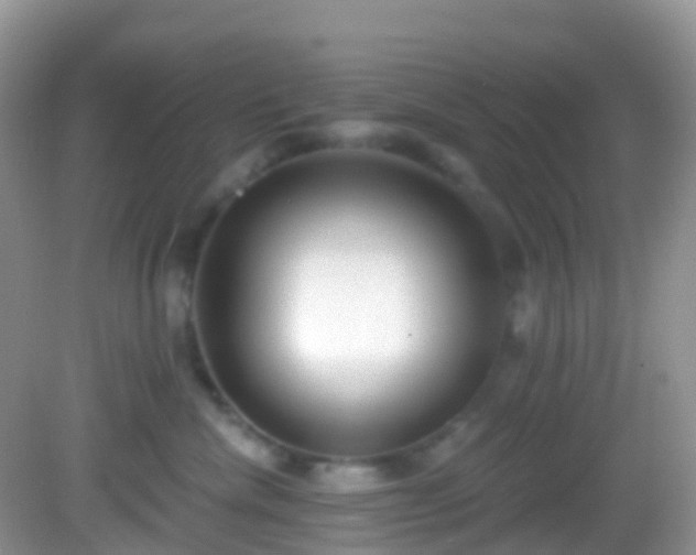 X0000082680476200702021231