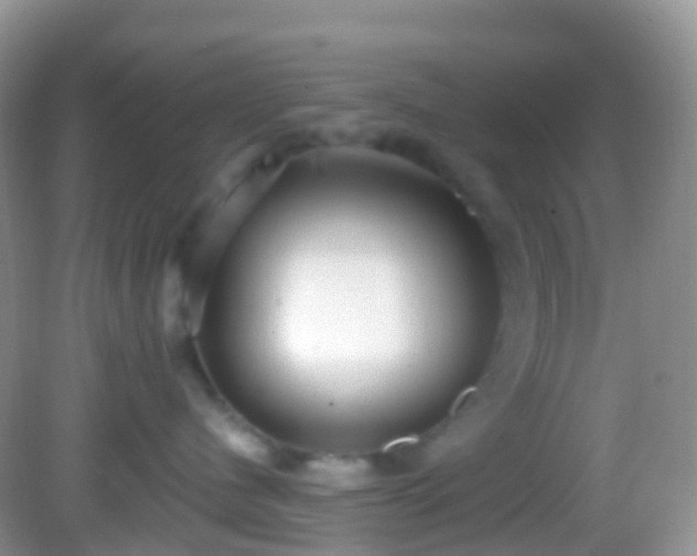 X0000082680480200702021231