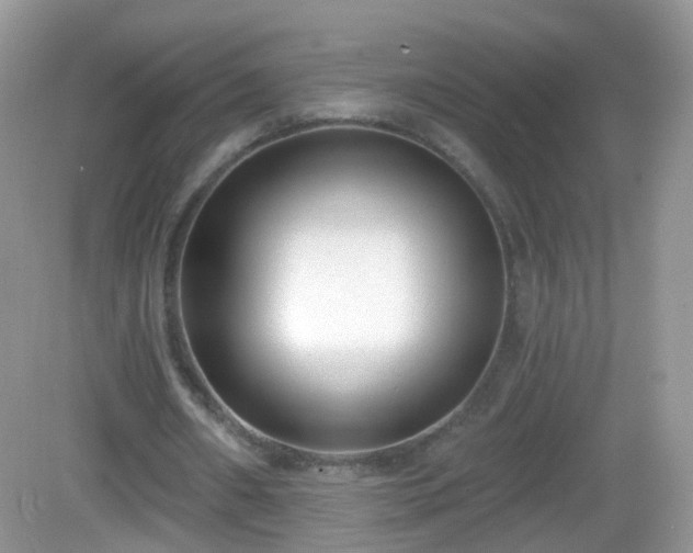 X0000082680482200702021230