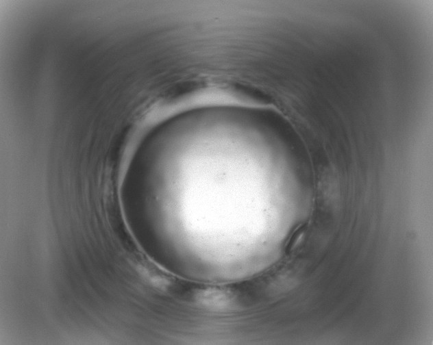 X0000082680511200702021230