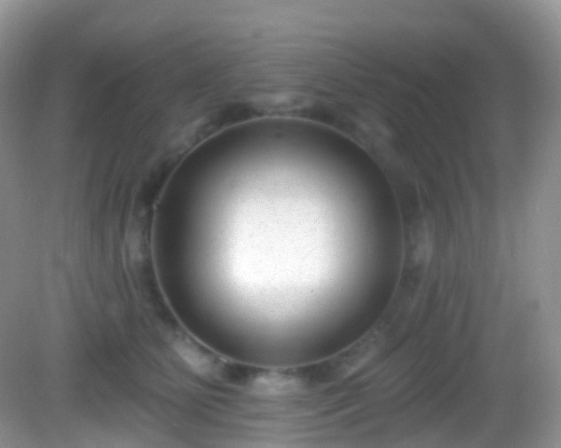 X0000082680515200702021230