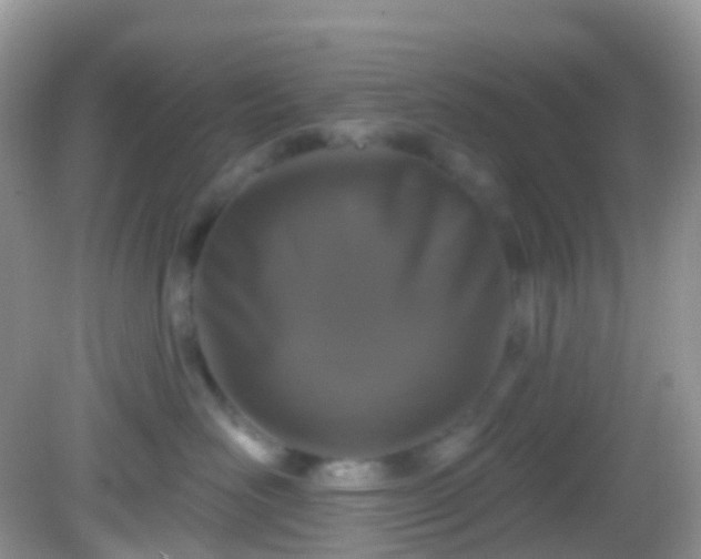 X0000082680526200702021230