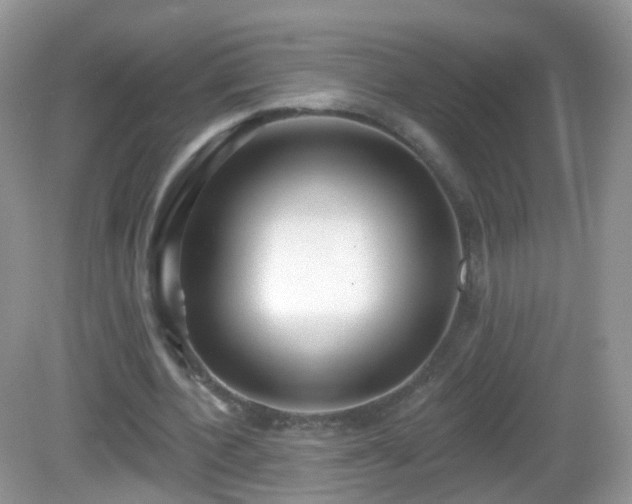 X0000082680532200702021229