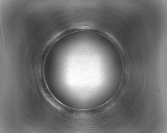X0000082680533200702021229
