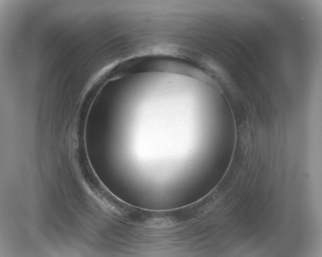 X0000082680536200702021229