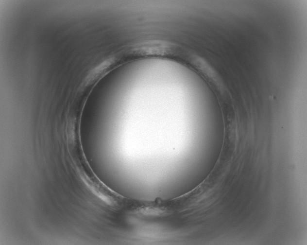 X0000082680537200702021229