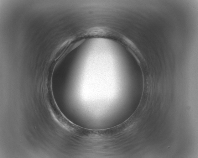 X0000082680538200702021229