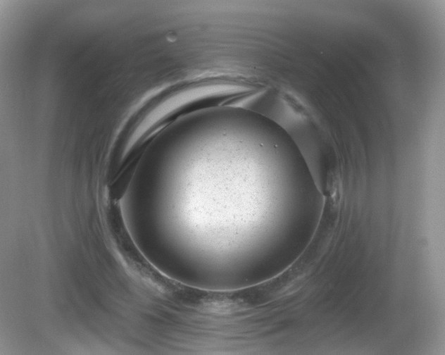 X0000082680540200702021229