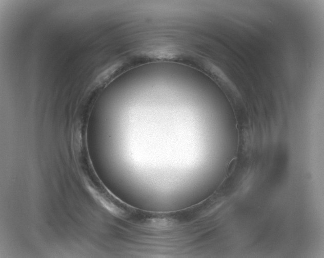 X0000082680541200702021229