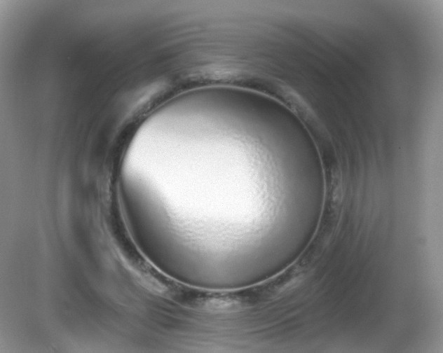 X0000082680542200702021229