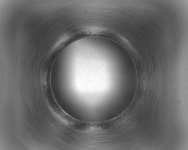 X0000082680543200702021229