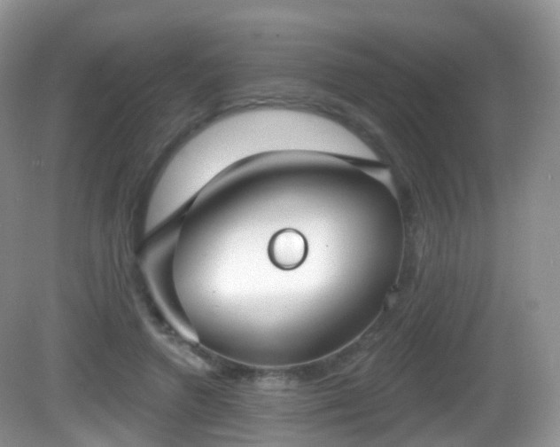 X0000082680546200702021229