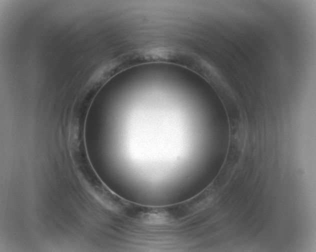 X0000082680548200702021229