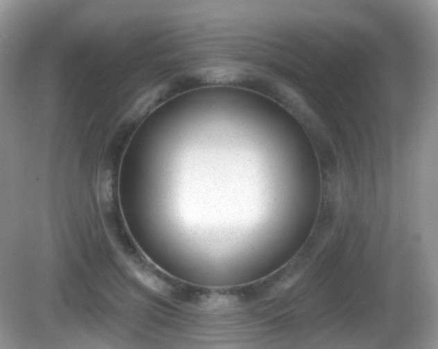 X0000082680549200702021229