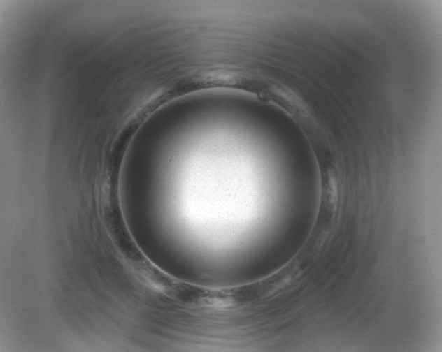 X0000082680552200702021229