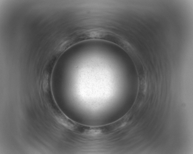 X0000082680554200702021229