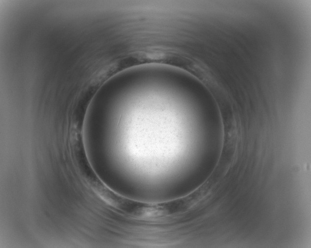 X0000082680555200702021229