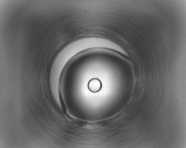 X0000082680556200702021229