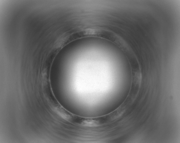 X0000082680557200702021229