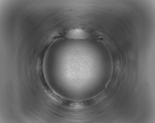 X0000082680559200702021229