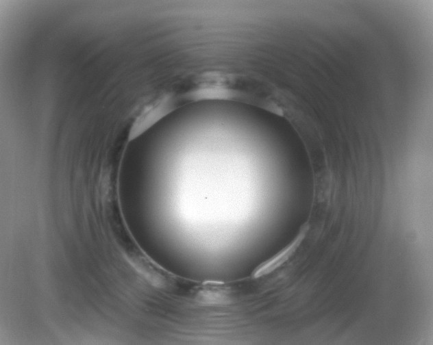 X0000082680560200702021229