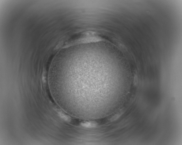 X0000082680561200702021229