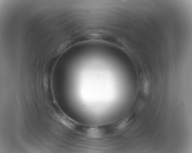 X0000082680562200702021229