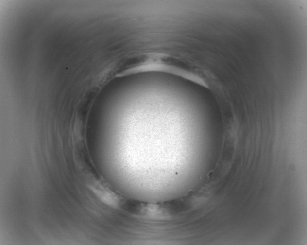 X0000082680565200702021229