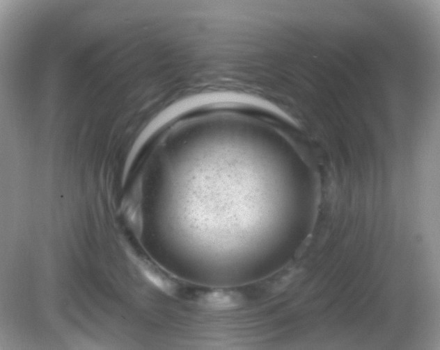 X0000082680566200702021229
