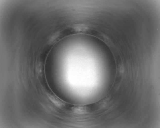X0000082680567200702021229