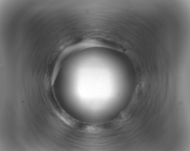 X0000082680568200702021229