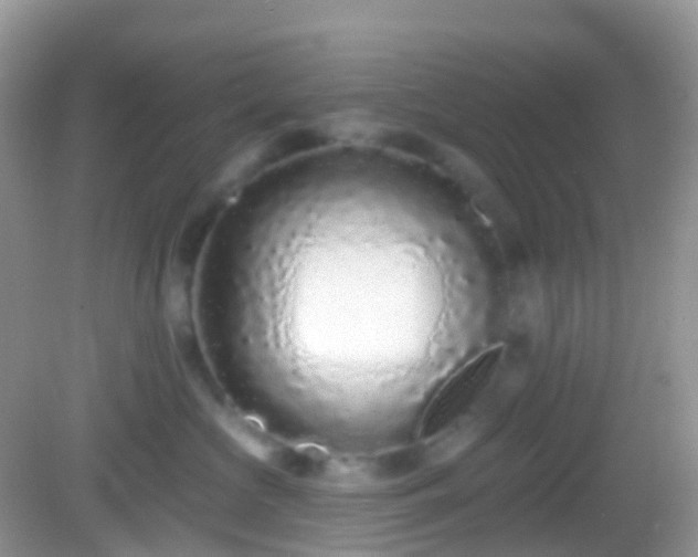 X0000082680573200702021230