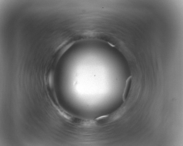 X0000082680576200702021230