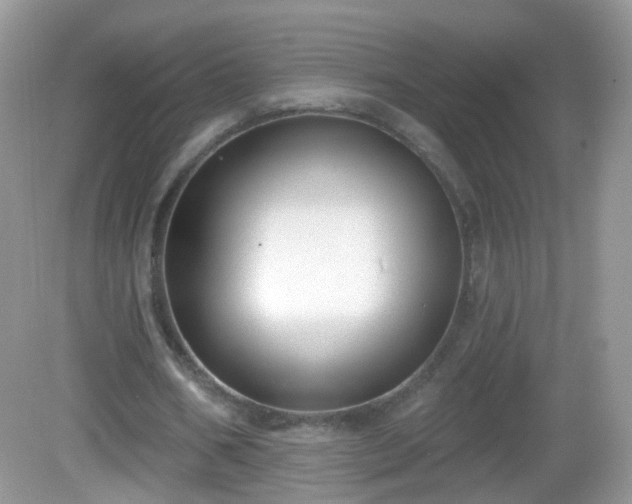 X0000082680578200702021229