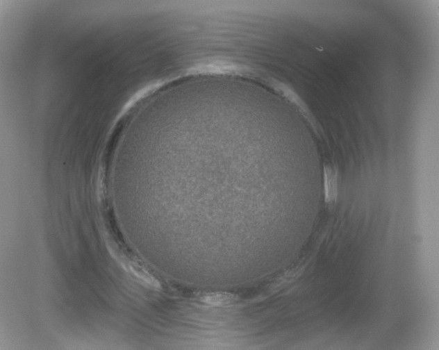 X0000082680579200702021229