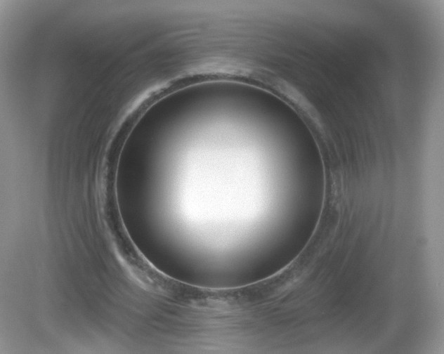 X0000082680580200702021229
