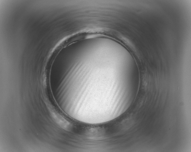 X0000082680584200702021229