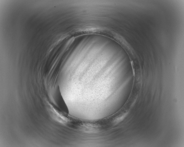 X0000082680585200702021229